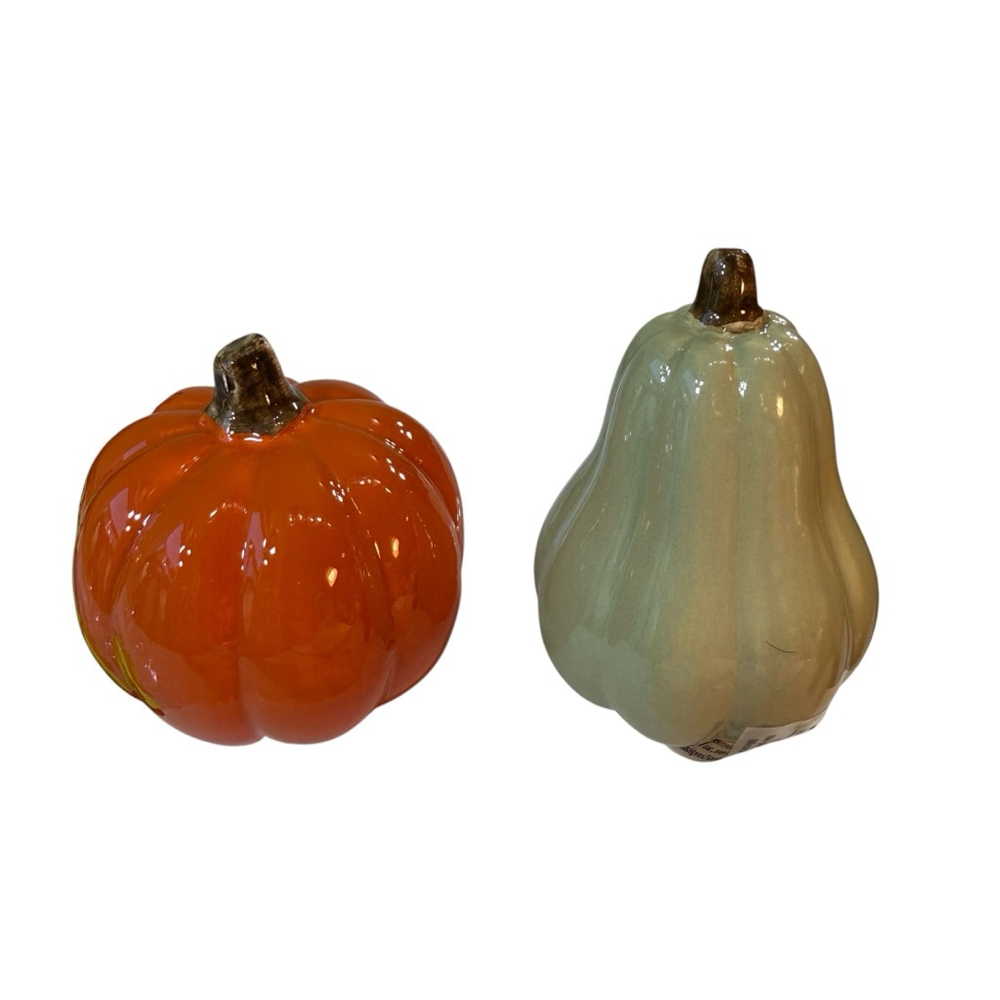 Pumpkin Gourd Salt & Pepper Shakers Set Fall Thanksgiving Autumn Farmhouse Decor
